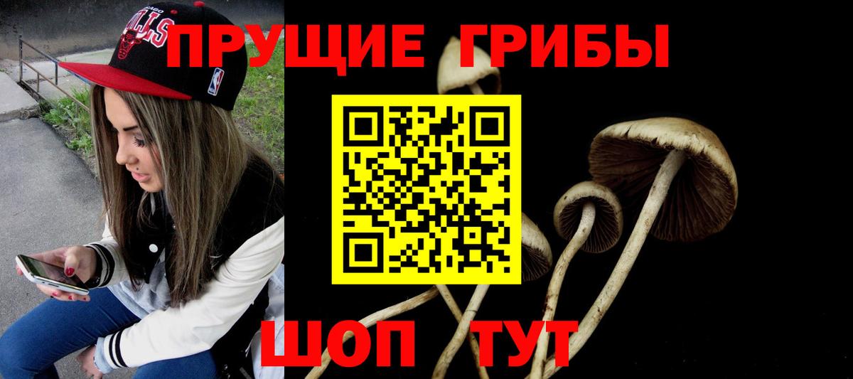 Галлюциногенные грибы Psilocybine cubensis Ессентуки
